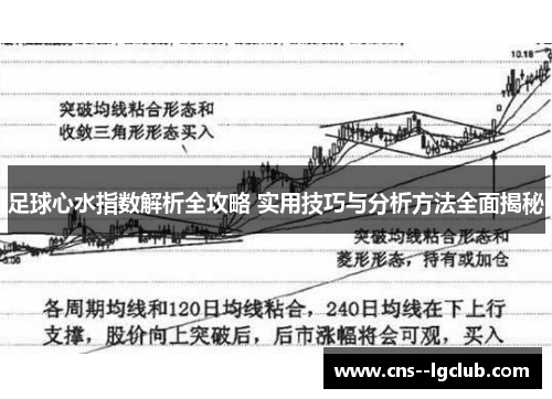 足球心水指数解析全攻略 实用技巧与分析方法全面揭秘