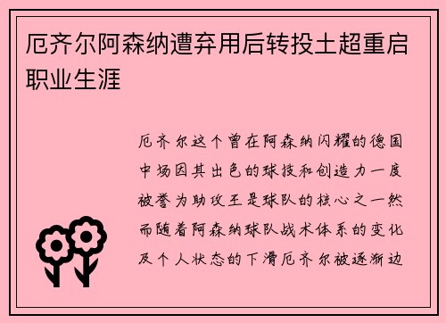厄齐尔阿森纳遭弃用后转投土超重启职业生涯